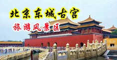 搞丁字库女人中国北京-东城古宫旅游风景区